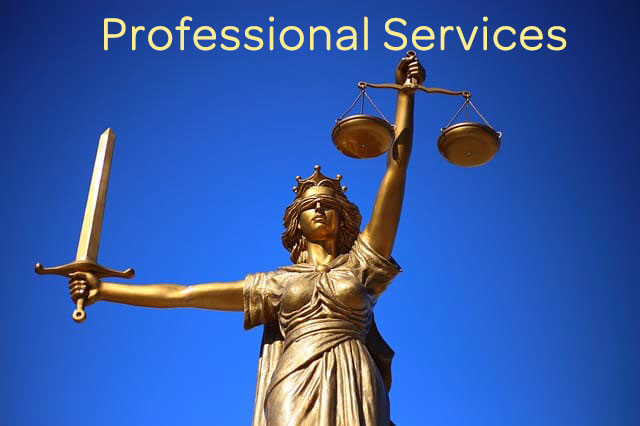 professional services